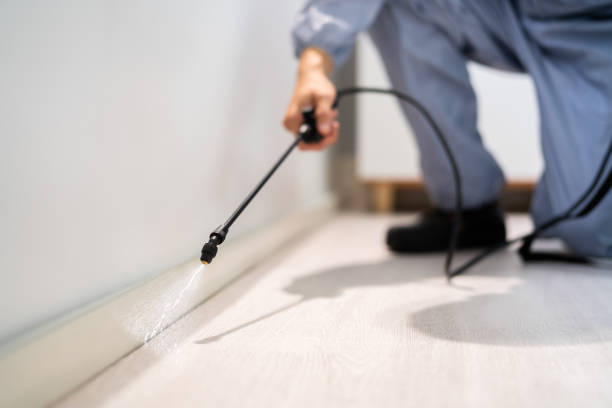 Licensed Rodent Control service in Irving, TX - Nex Pest Control