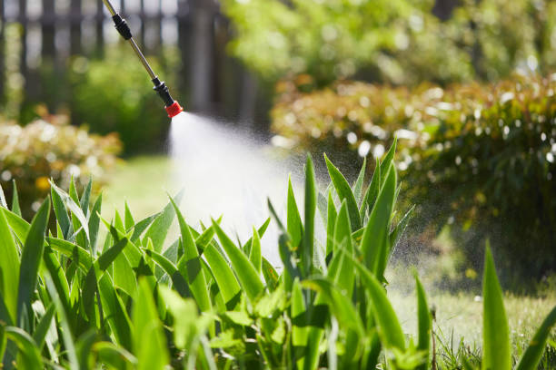 24/7 Emergency Rodent Control experts in Irving, TX