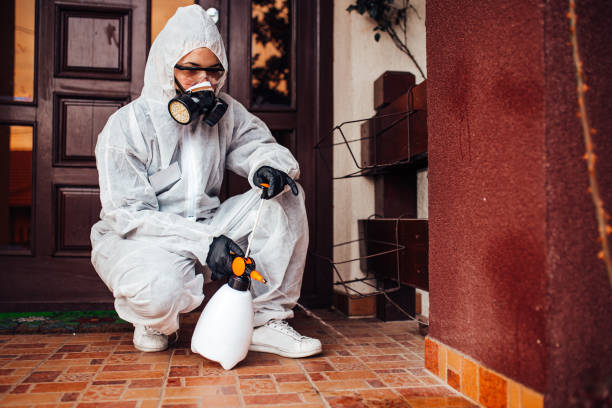 Reliable Rodent Control contractor in Irving, TX by Nex Pest Control
